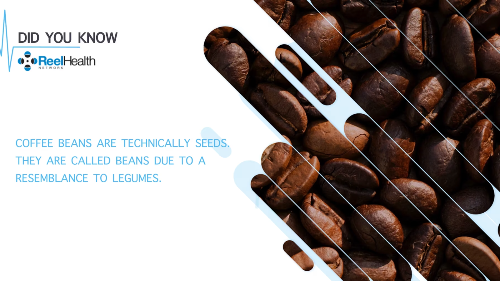 Fun Fact Videos for Hospital TV