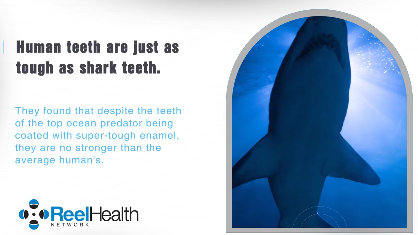 Nature Did You Know Video for Hospital TV